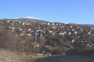 ece3febbcd5402c5f8687588d81d8d9d1.jpeg